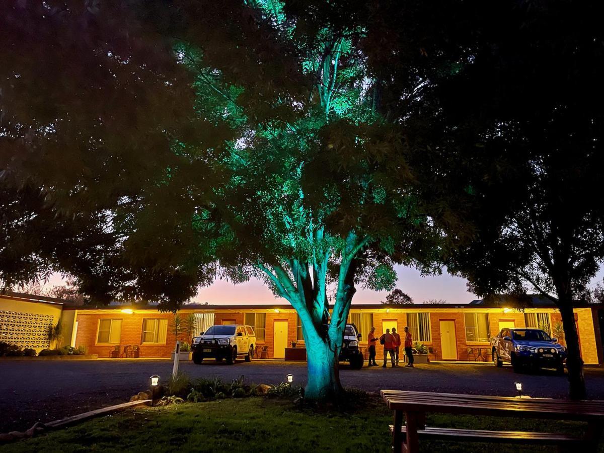 Quirindi Sunflower Motor Inn Eksteriør billede