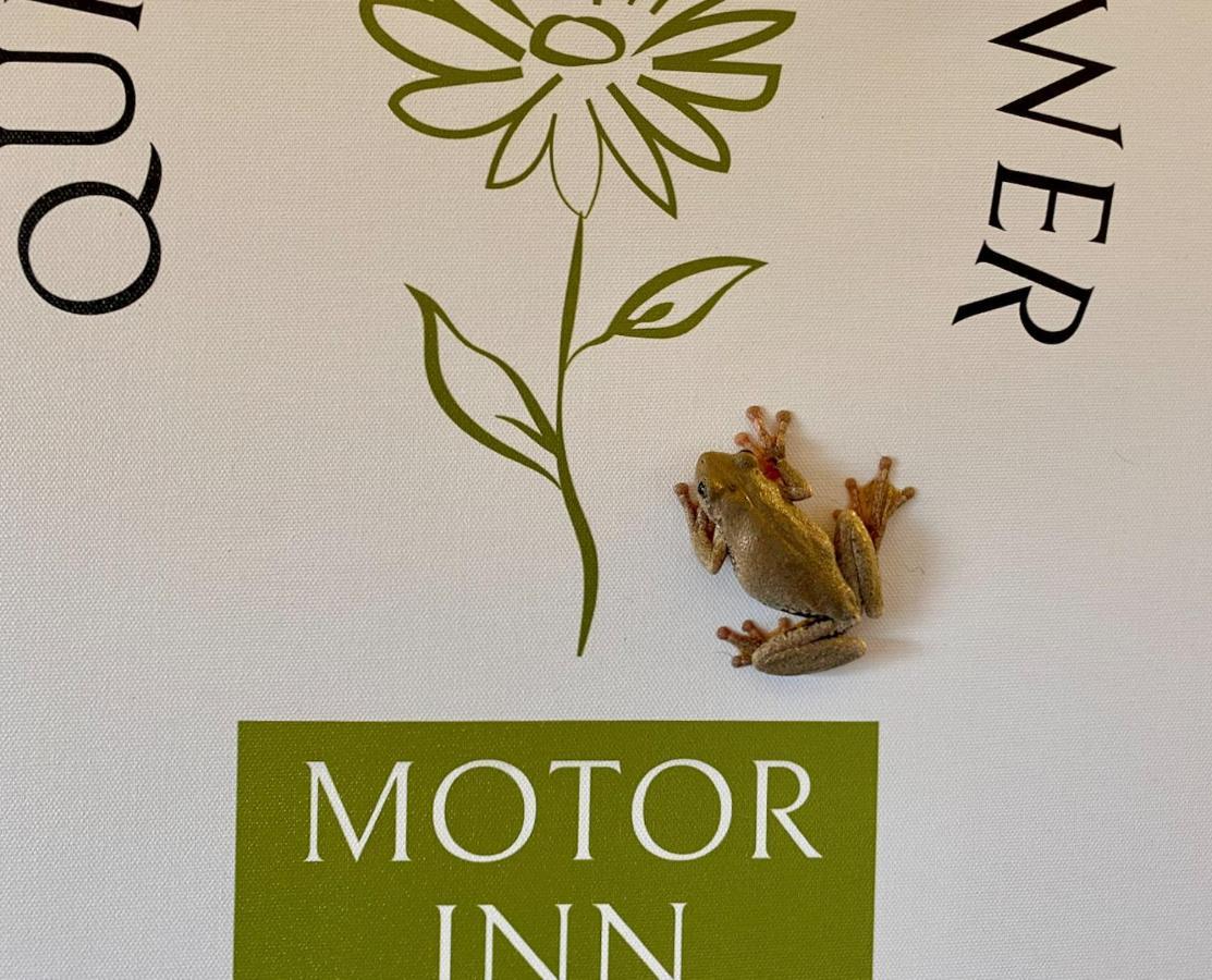 Quirindi Sunflower Motor Inn Eksteriør billede