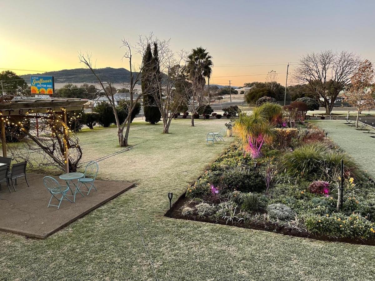 Quirindi Sunflower Motor Inn Eksteriør billede